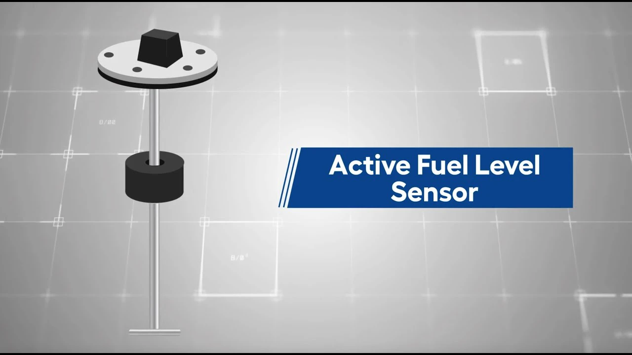 Animated Video Production Company