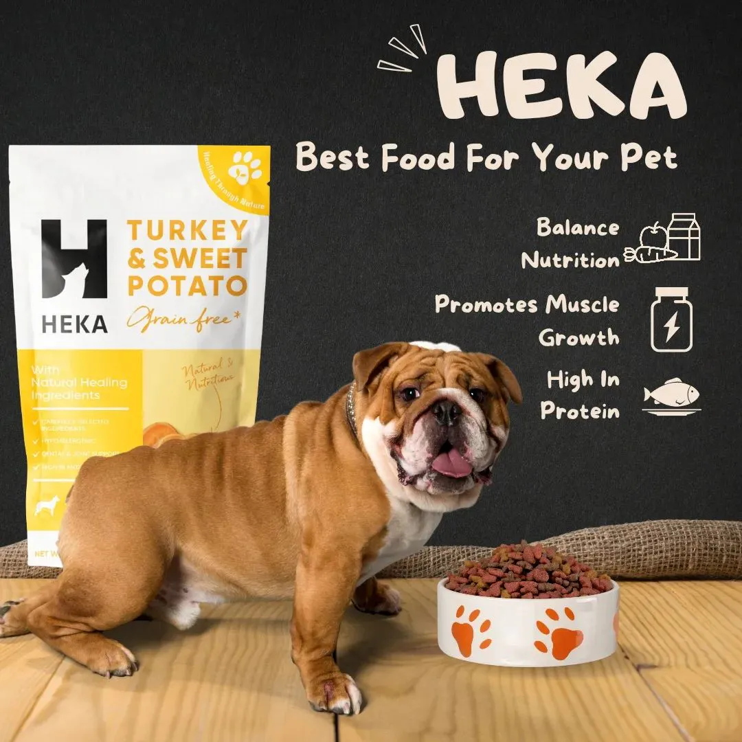 Social Media Designs