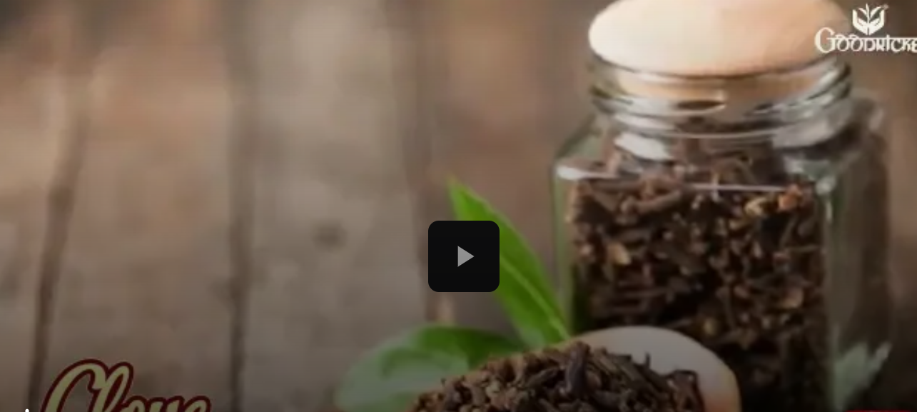 Animated Video Production Company