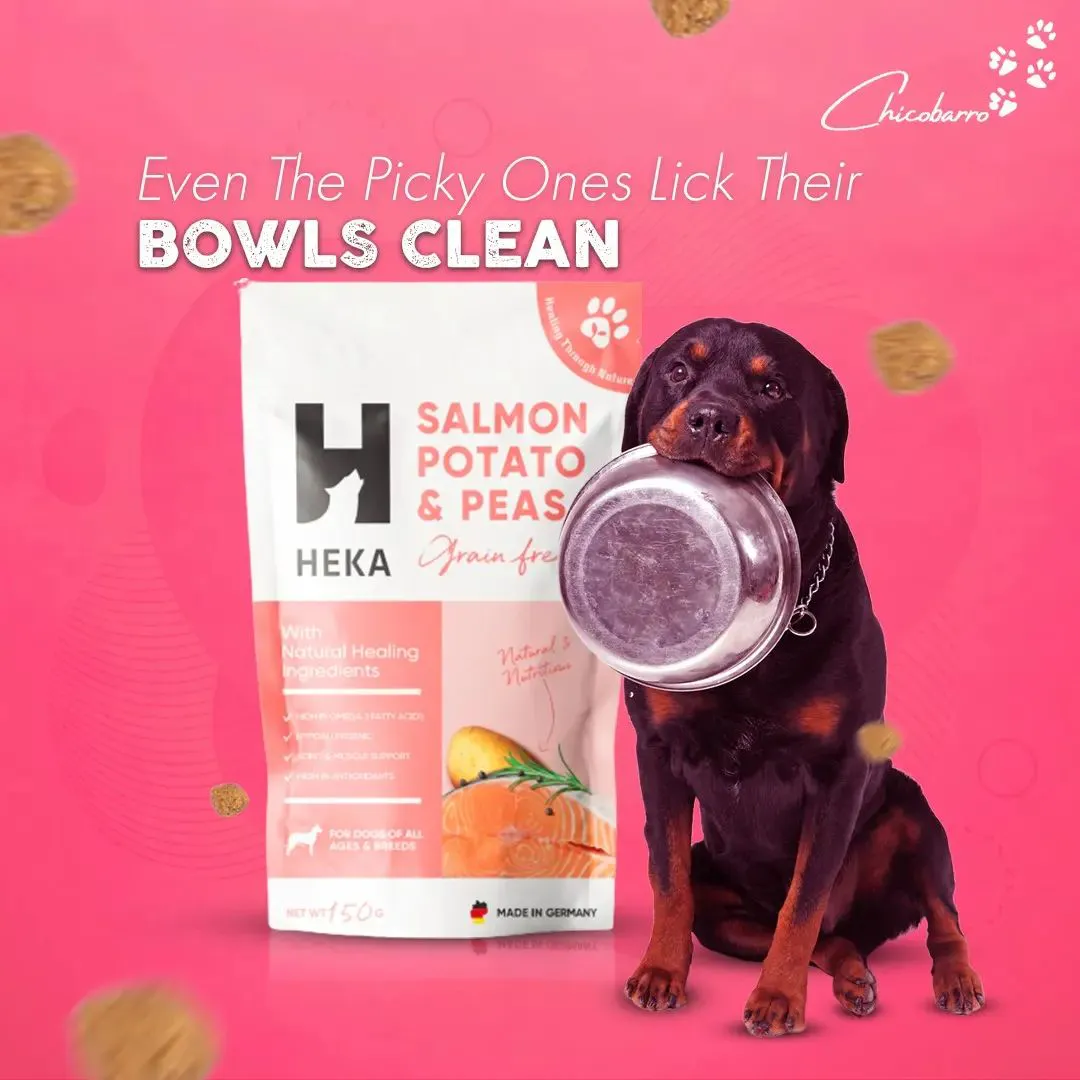 Social Media Designs