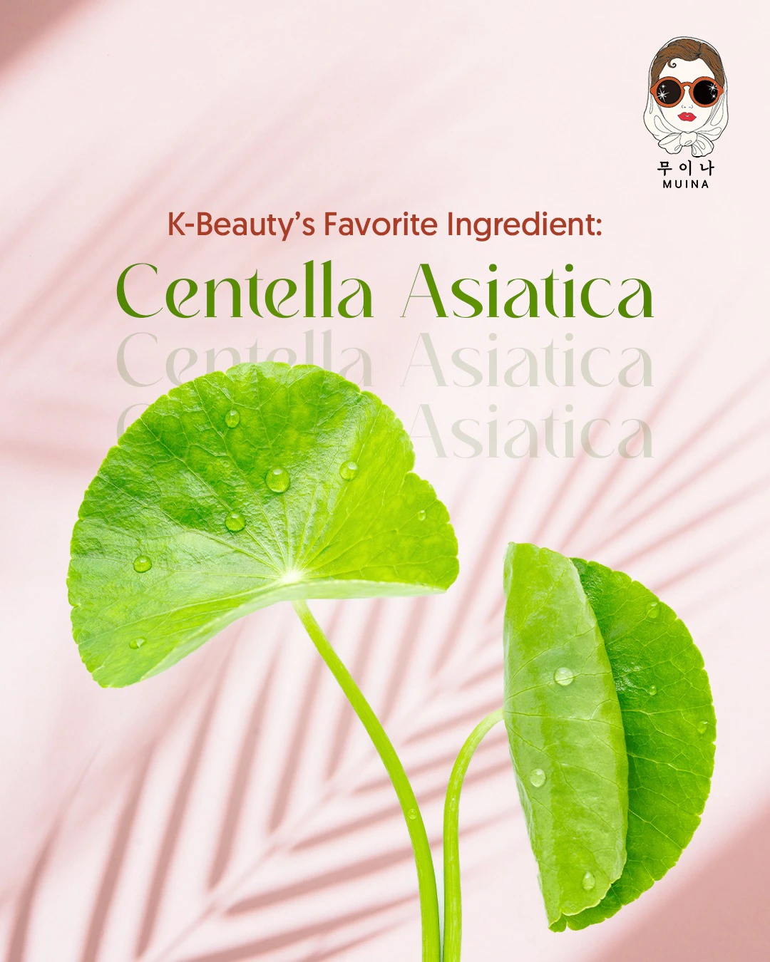 Social Media Designs