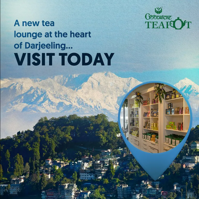 Social Media Designs